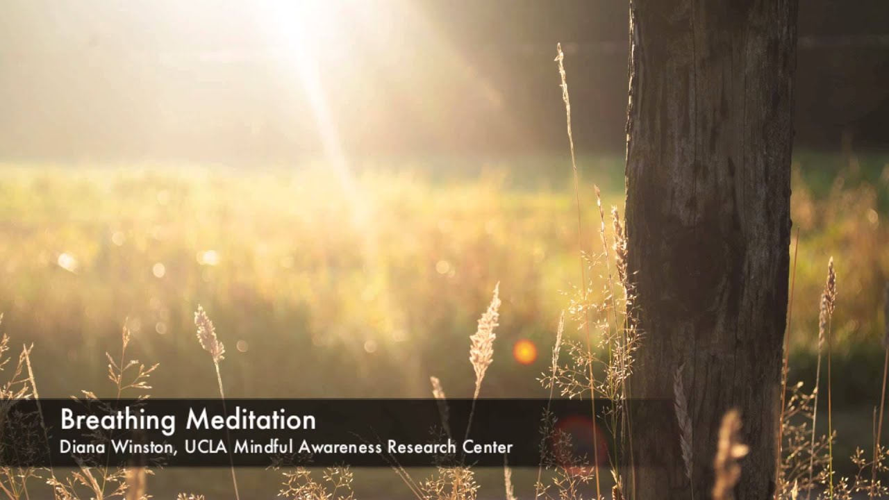 Breathing Meditation | UCLA Mindful Awareness Research Center