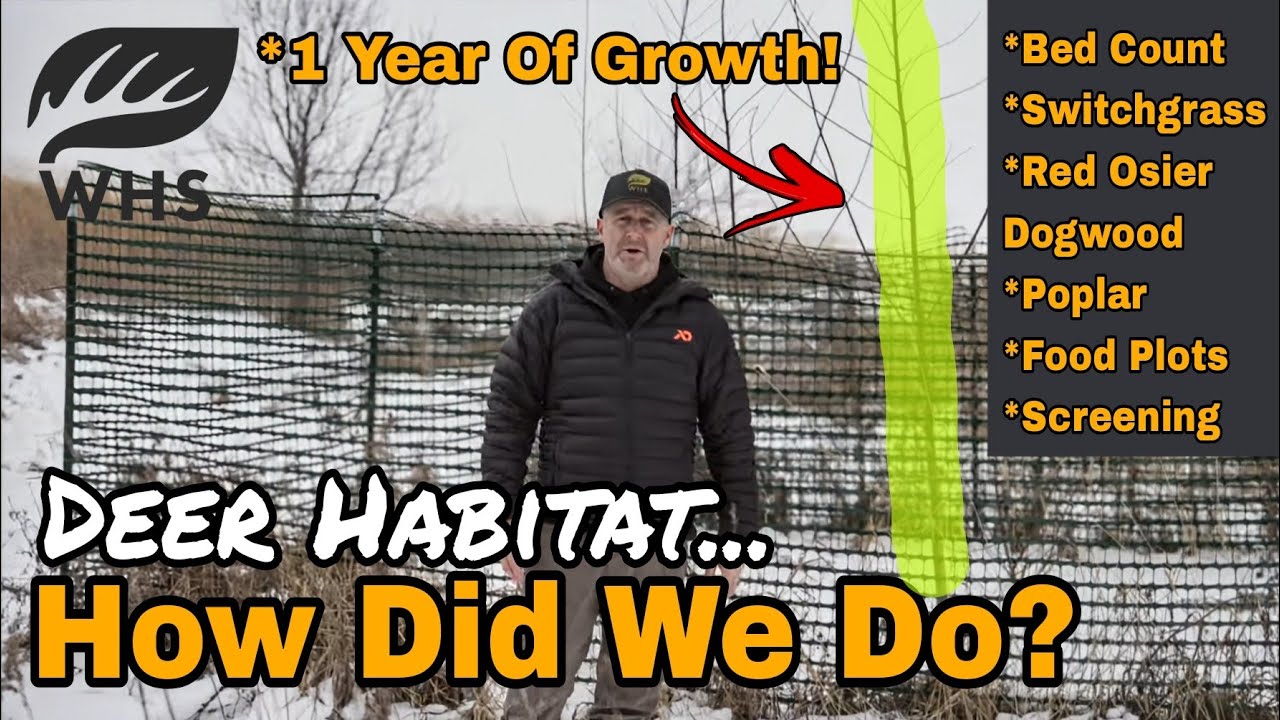 Annual Deer Habitat Parcel Checkup | Dogwood, Deer Beds, Switchgrass and MORE