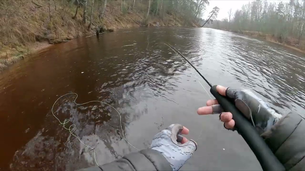 Тест действия Maximumcatch Competition Nymph remake Mini Spey rod