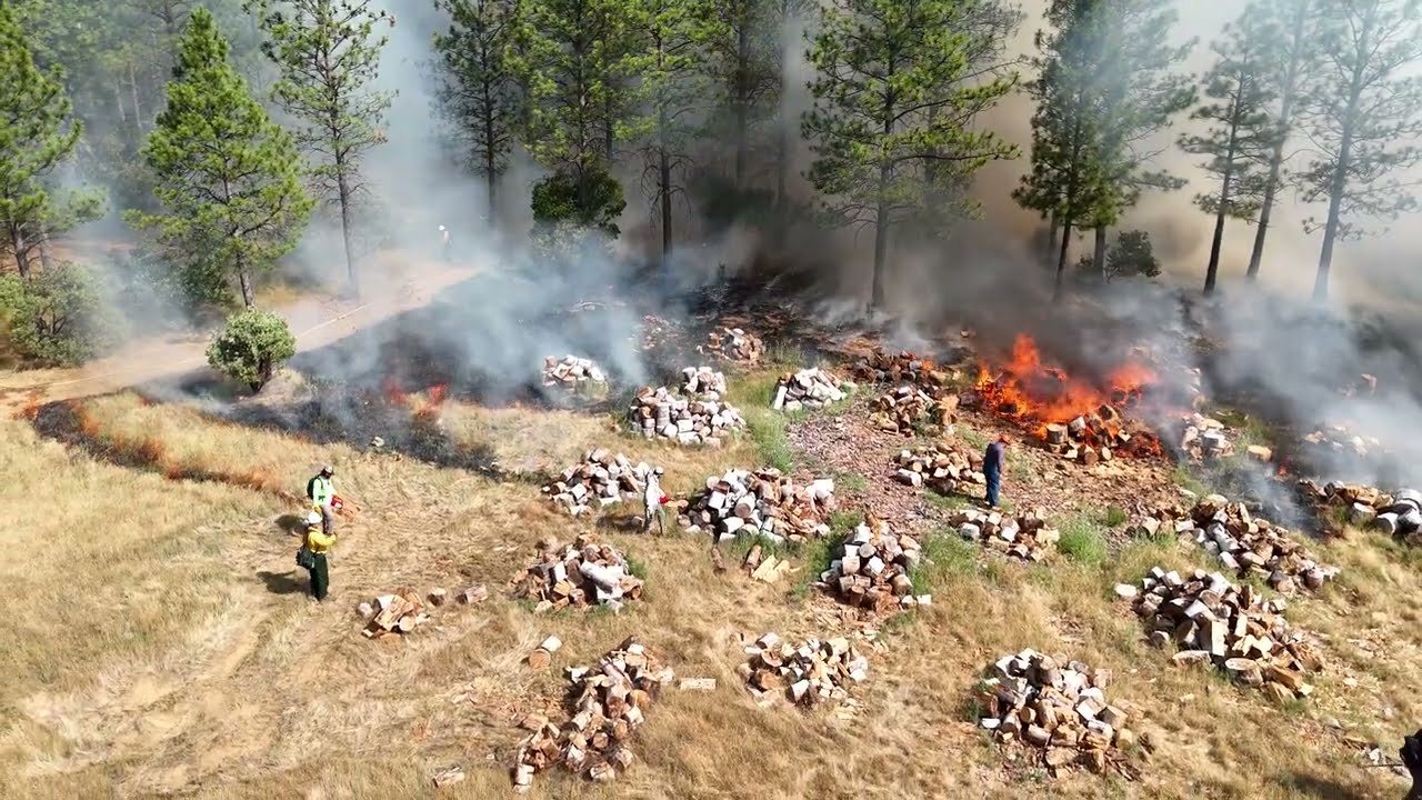 Bear Yuba Land Trust - Rice’s Crossing North, Prescribed burn with crew, June 2025 - 4k drone video