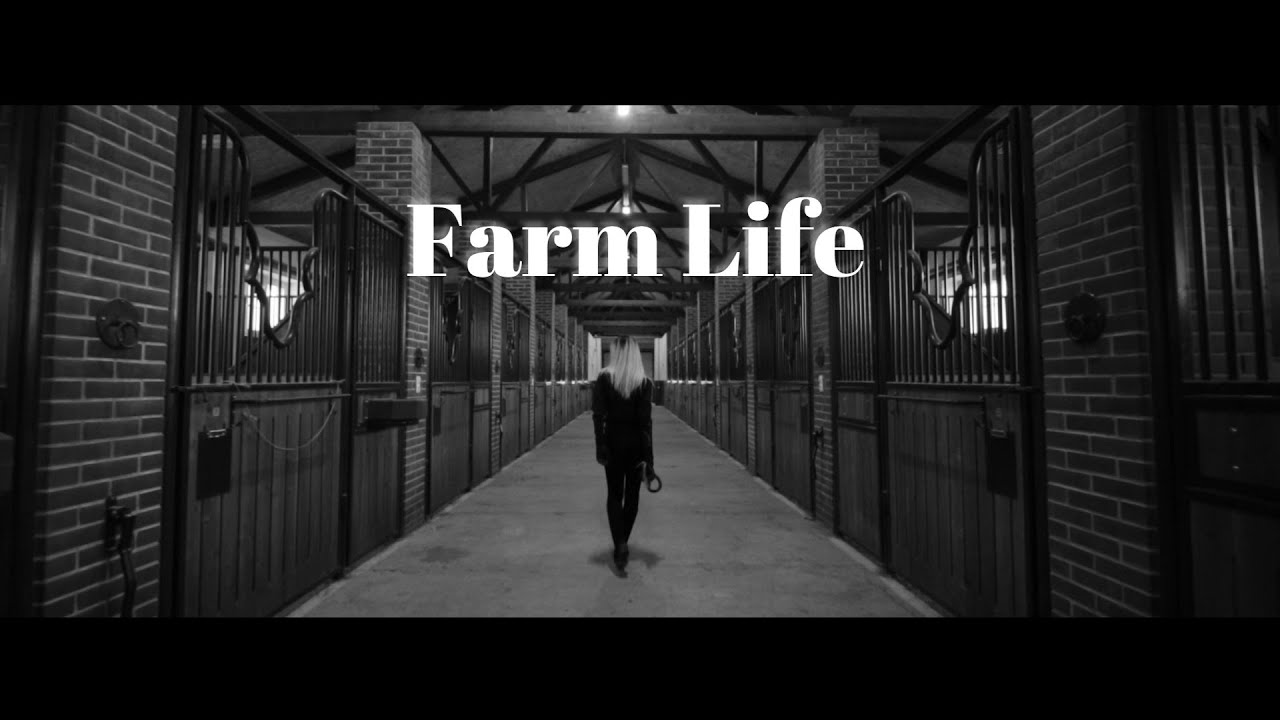 Farm Life ( #horses, #rider, #harvest, #fields )