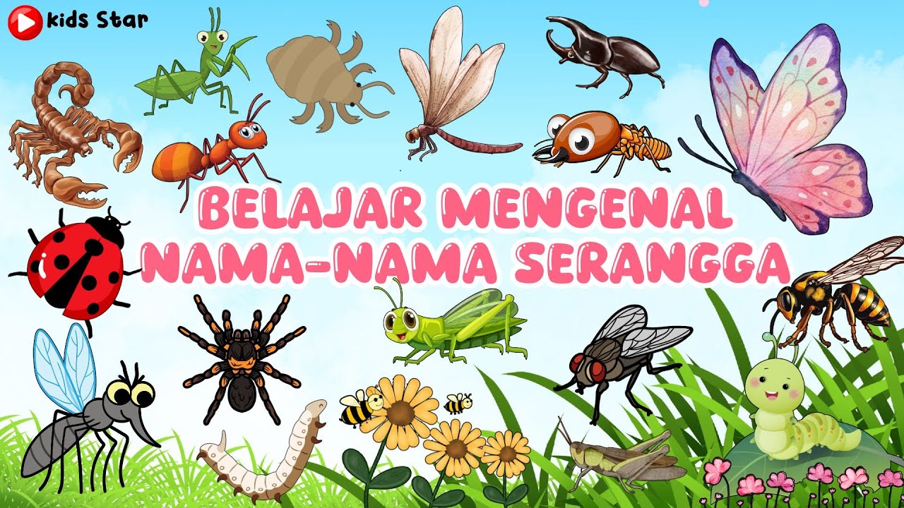 100 NAMA SERANGGA - BELAJAR NAMA HEWAN SERANGGA INDONESIA - INGGRIS | NAMES OF INSECT LEARN ANIMALS