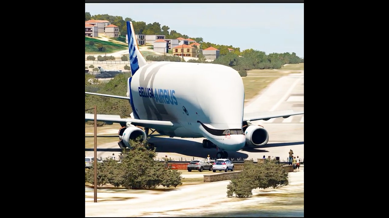 Airbus Beluga XL Impossible takeoff from SABA Airport 