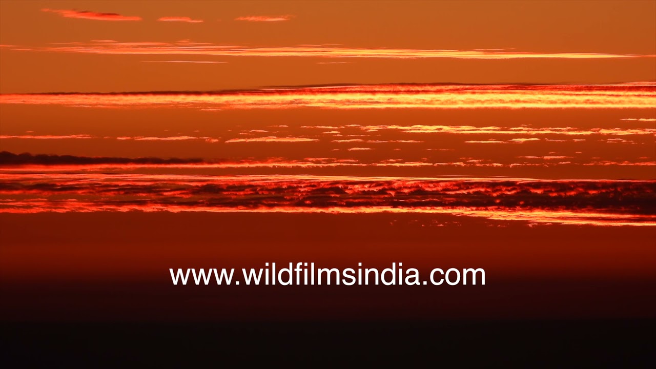 Winterline sunset from wildfilmsindia mountains around Landour: brilliant end to each winter day!