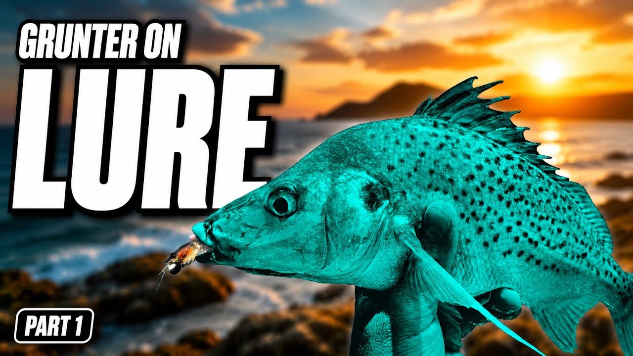 GRUNTER LURE Fishing Basics | Everything You Need to Know 