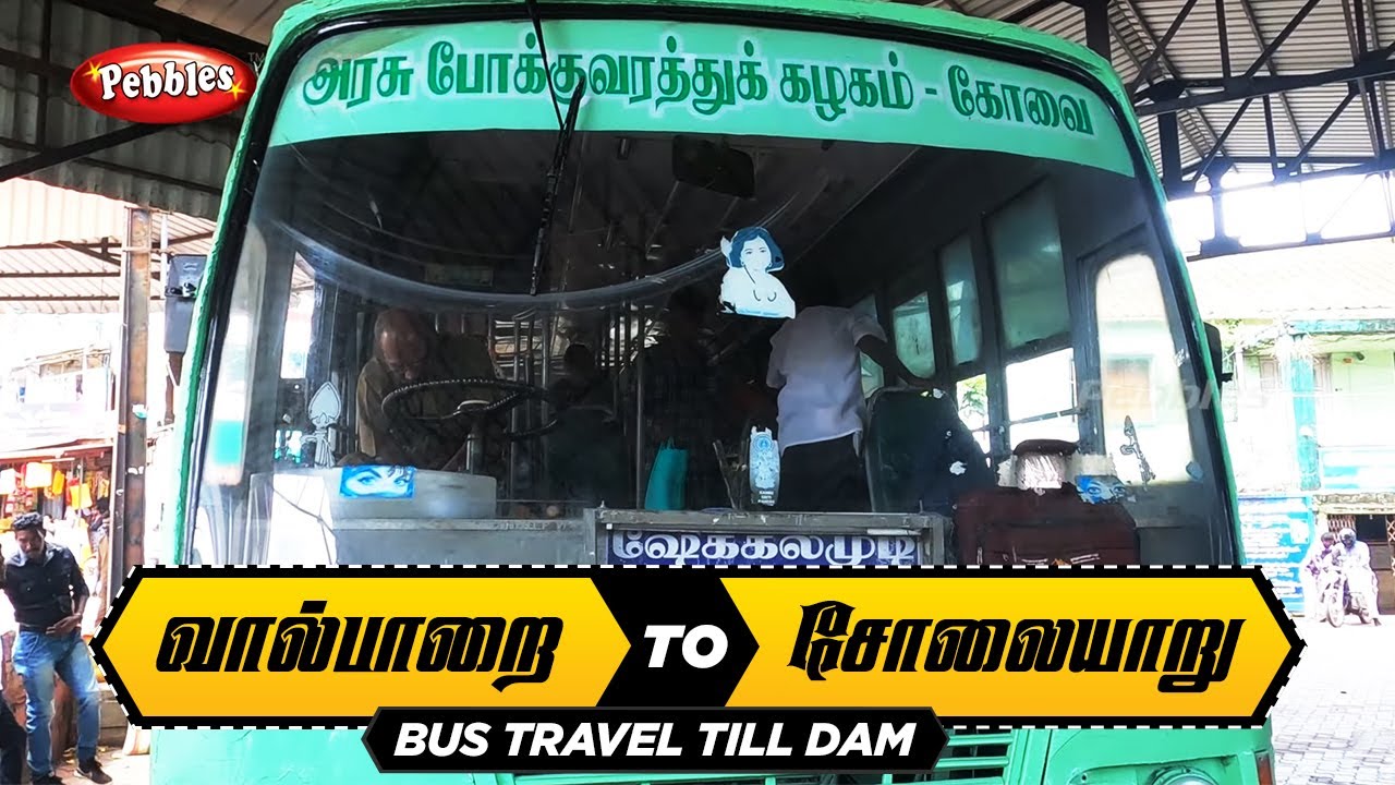 வால்பாறை TO சோலையாறு அணை  வரை பஸ் பயணம் |  valparai to sholayar dam bus travel | sholayar road trip