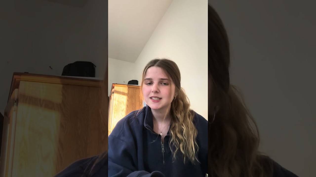 Video journal 2