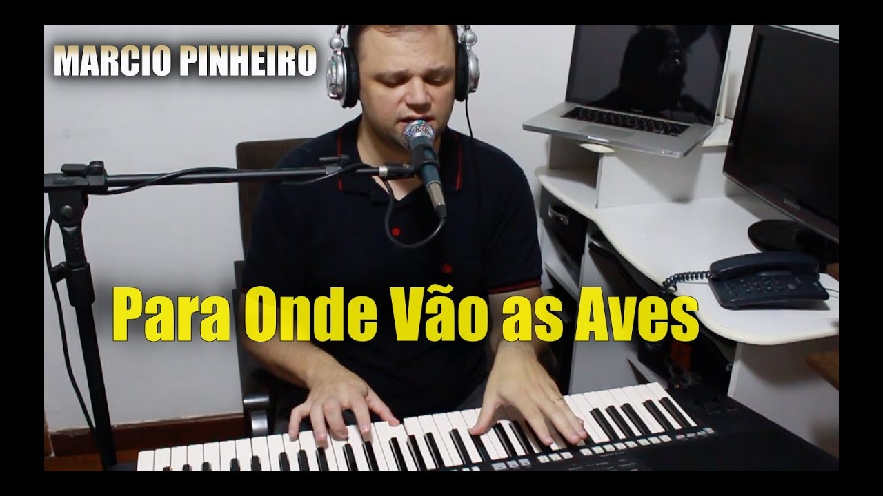 PARA ONDE VÃO AS AVES - MARCIO PINHEIRO (Cover) Sérgio Lopes