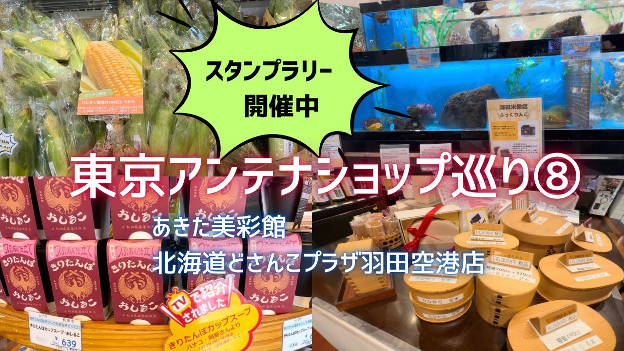 【東京アンテナショップ巡り】⑧あきた美彩館、北海道どさんこプラザ羽田空港店の2店舗を紹介します。美彩館に併設されたレストランでは秋田郷土料理がいただけます。