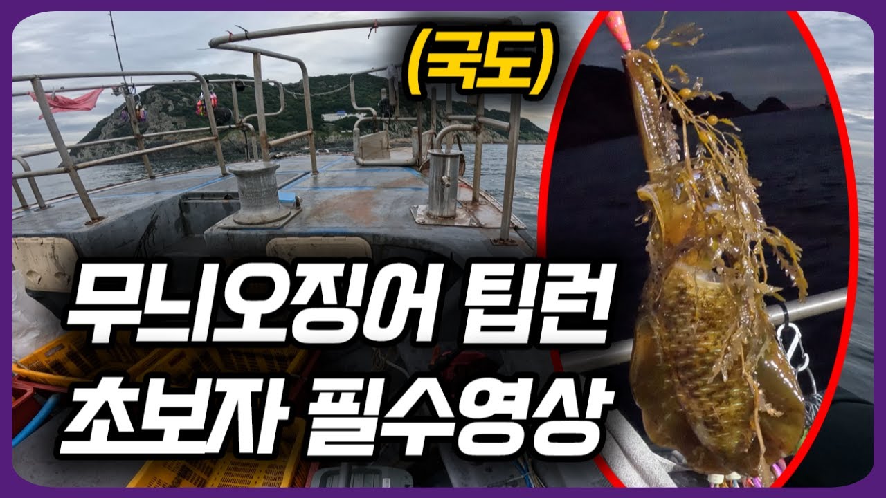 팁런 무늬오징어 낚시 쉽게 알려드립니다