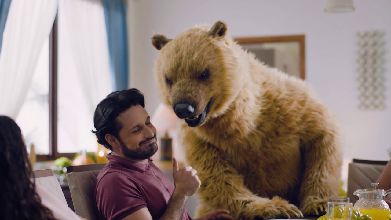 Golden Bear Comercial nuevo GoldK 2020