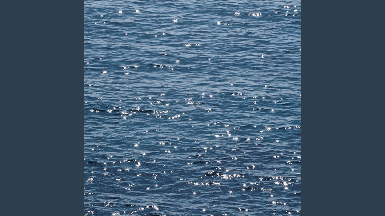 wave (파동)