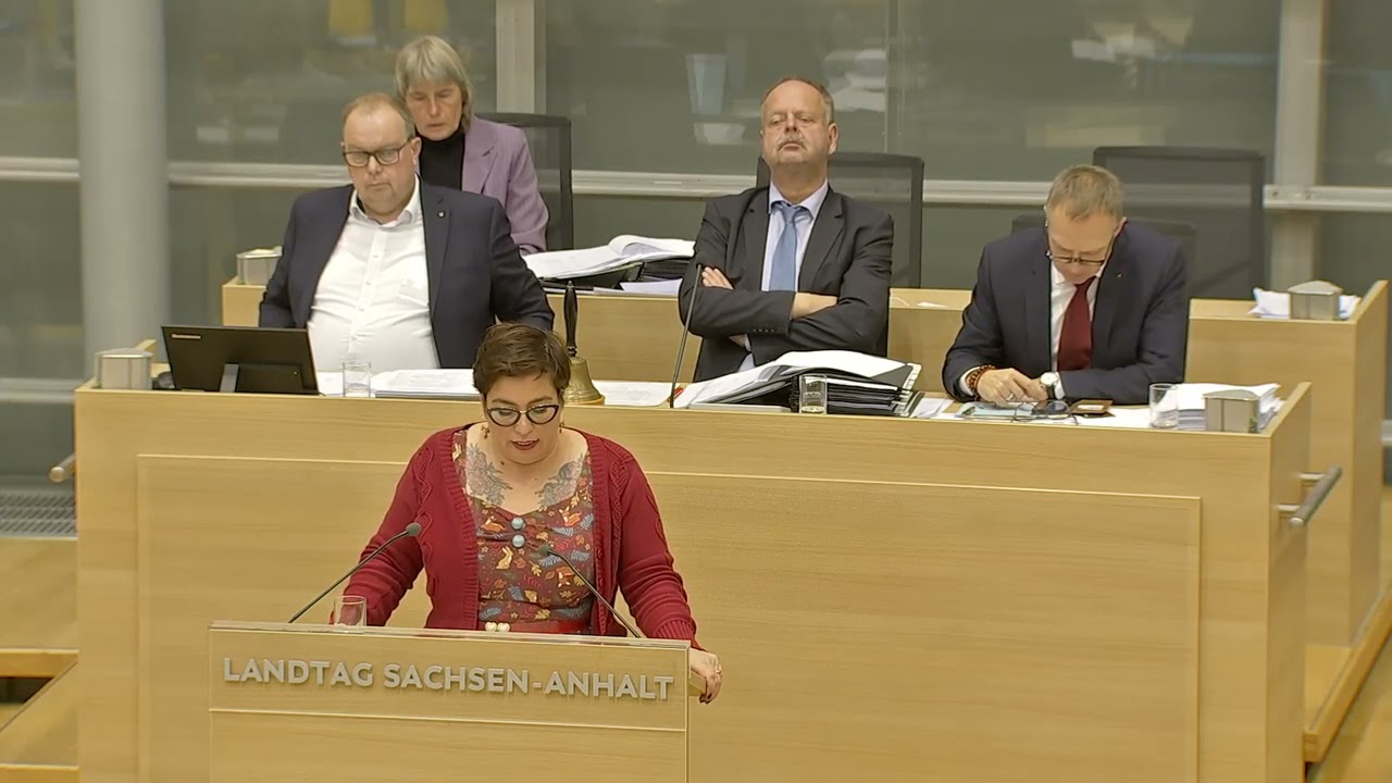 Antrag zur Pflegekammer: Grüne fordern starke berufliche Selbstverwaltung | 17:12.2025