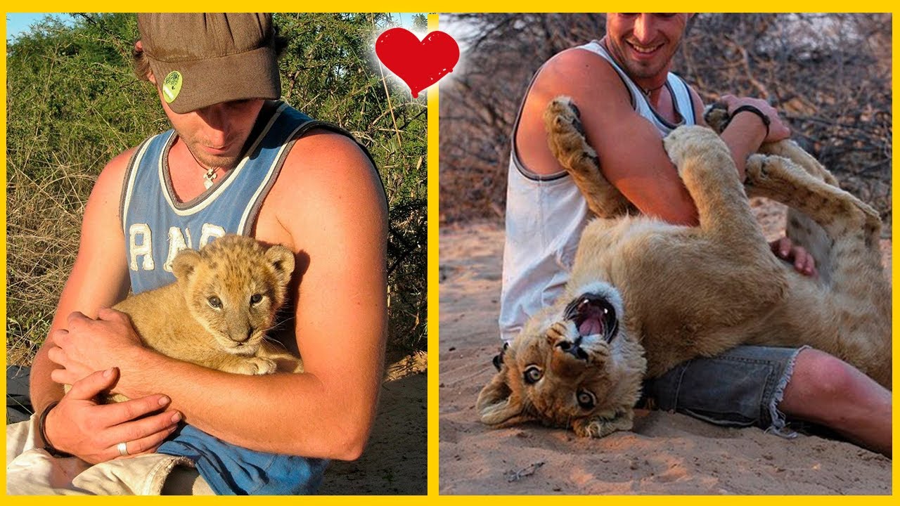 🦁 Leona tiene un humano favorito y no para de abrazarlo 💚
