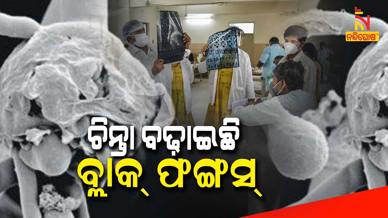 Black Fungus Declared an Epidemic In Rajasthan & Telangana | NandighoshaTV