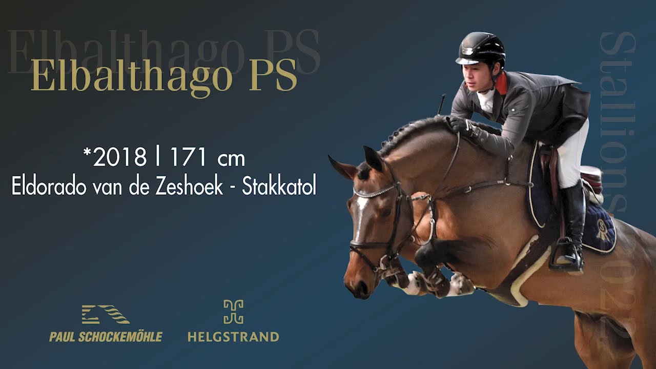 Elbalthago PS - Jumping Collection Schockemoehle & Helgstrand 2022 (ENG)