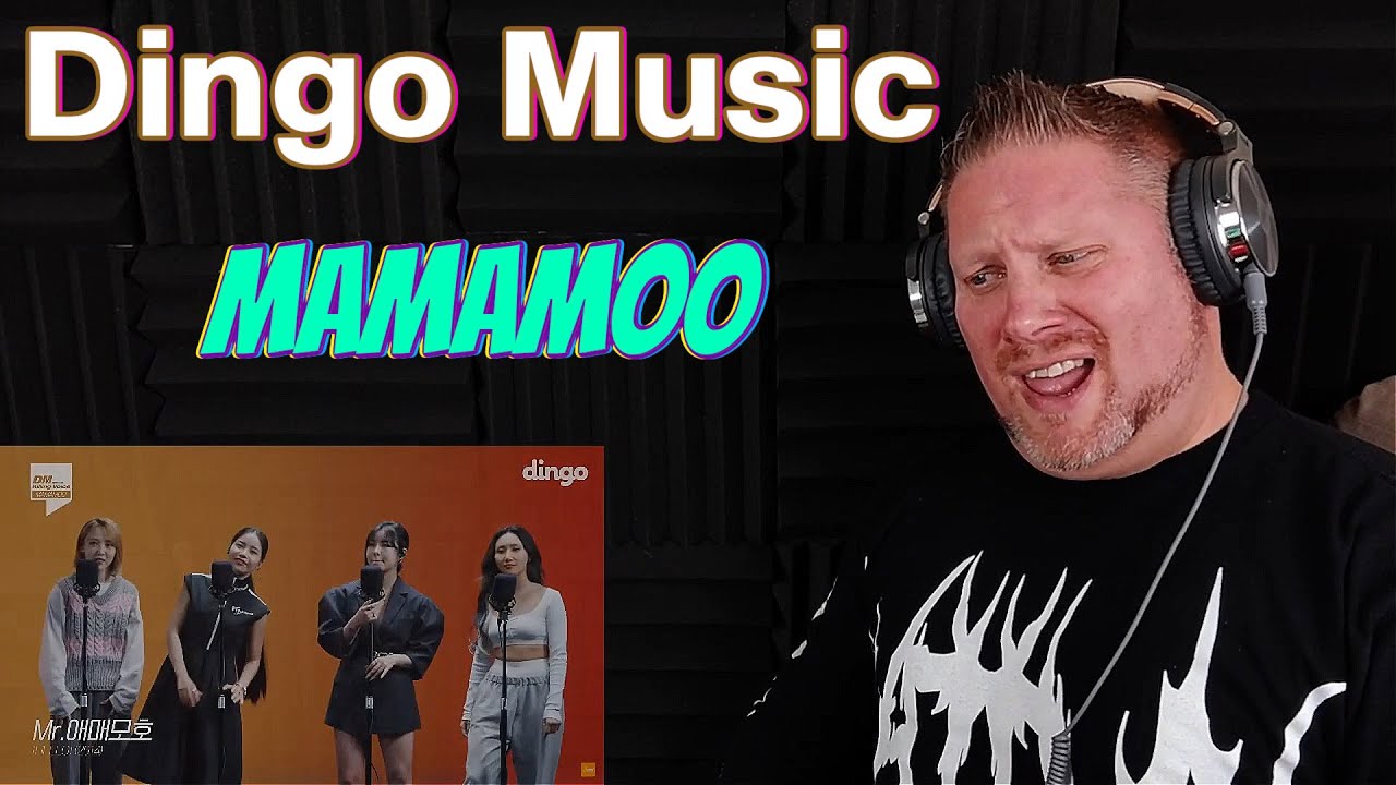 MAMAMOO's KILLING VOICE with perfect HARMONY/Egoistic, HIP, Dinga, AYA | Dingo Music REACTION