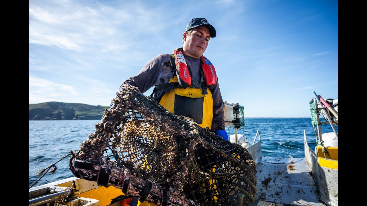 Young Fishermen Network Film