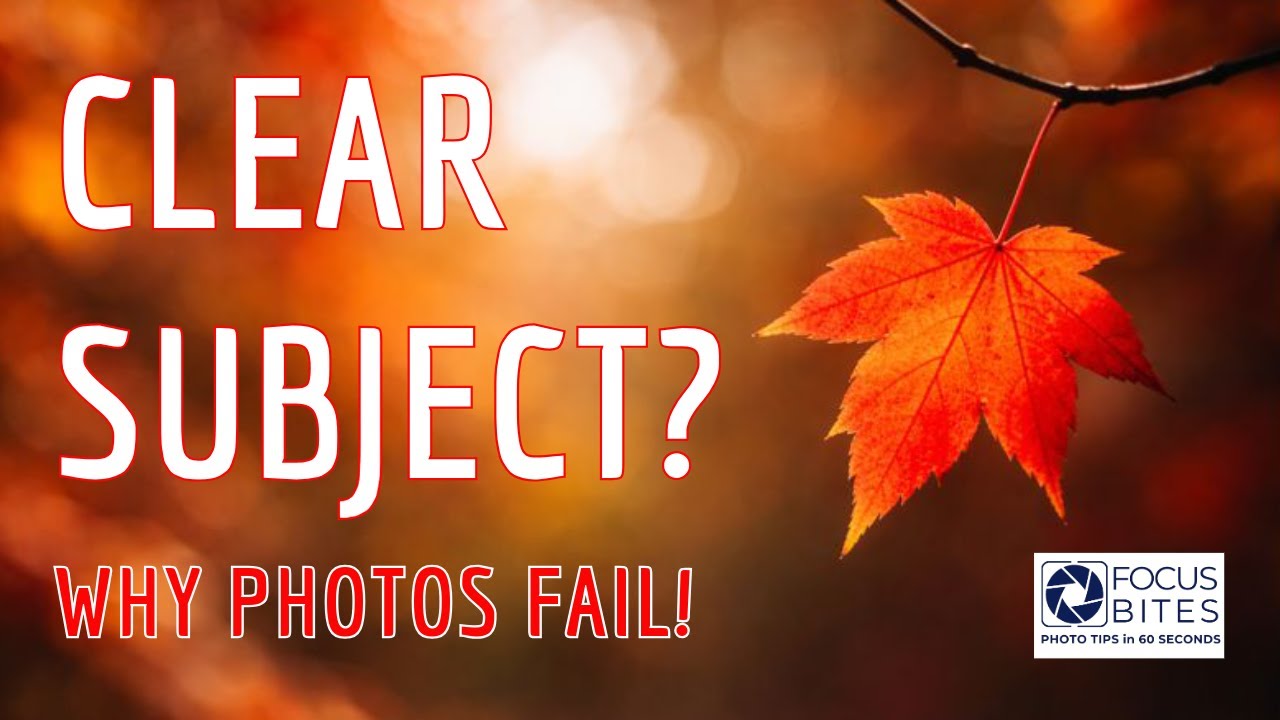 Why Every GREAT Photo Has One Clear Subject