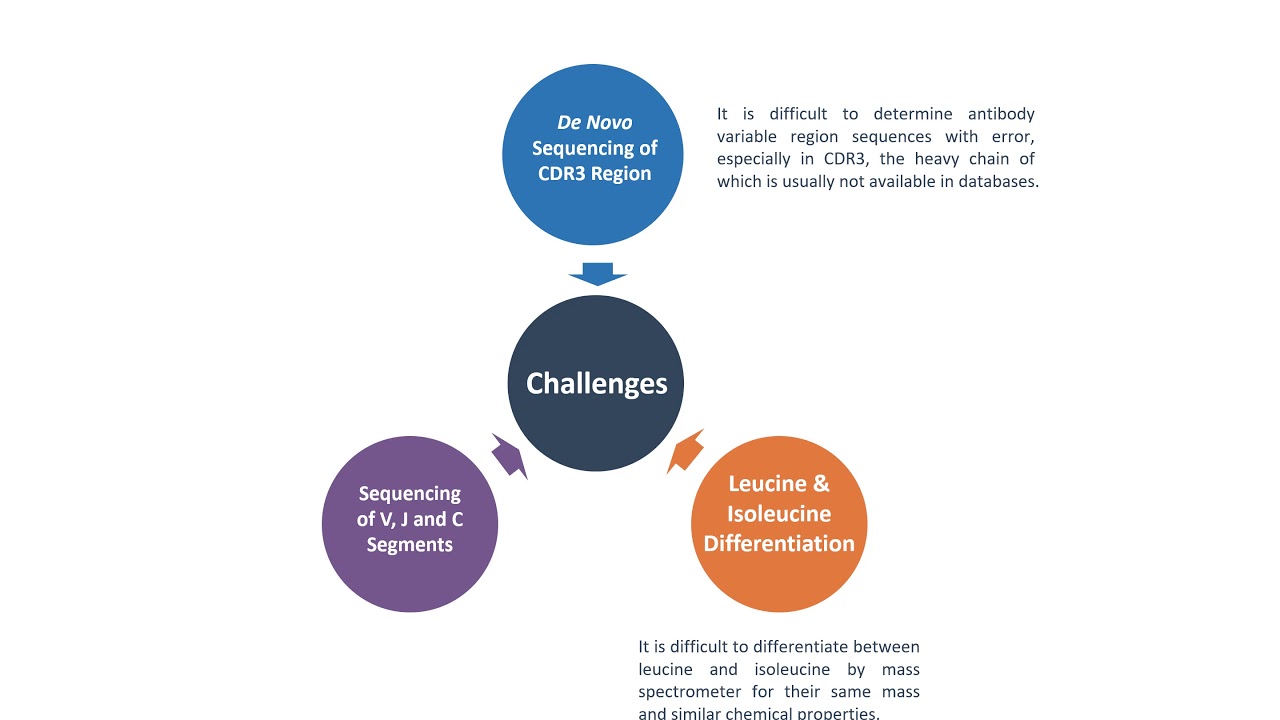 De Novo Antibody Sequencing Service - Creative Biolabs (Updated Version)