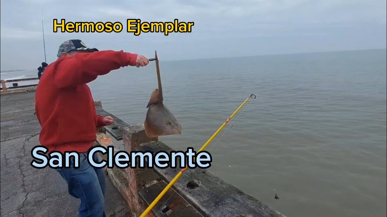 Pesca variada en el Muelle de San Clemente del Tuyu