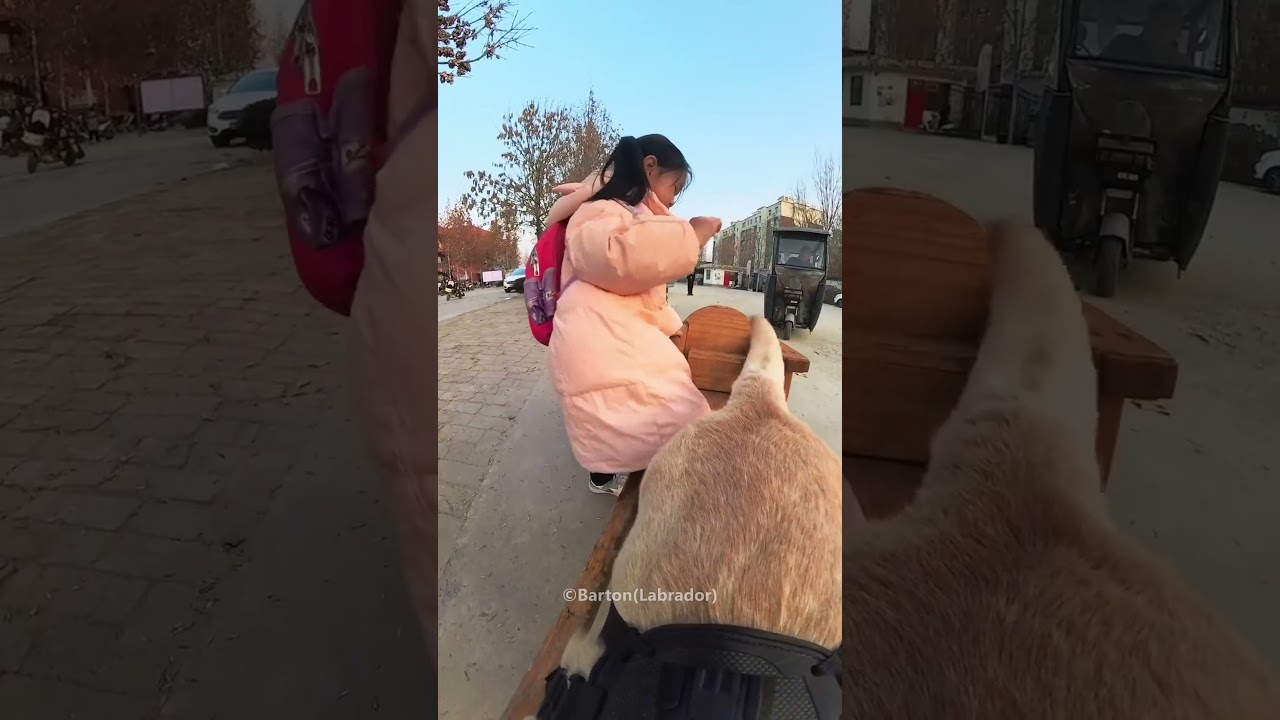 Loyal Dog Surprises His Owner😊