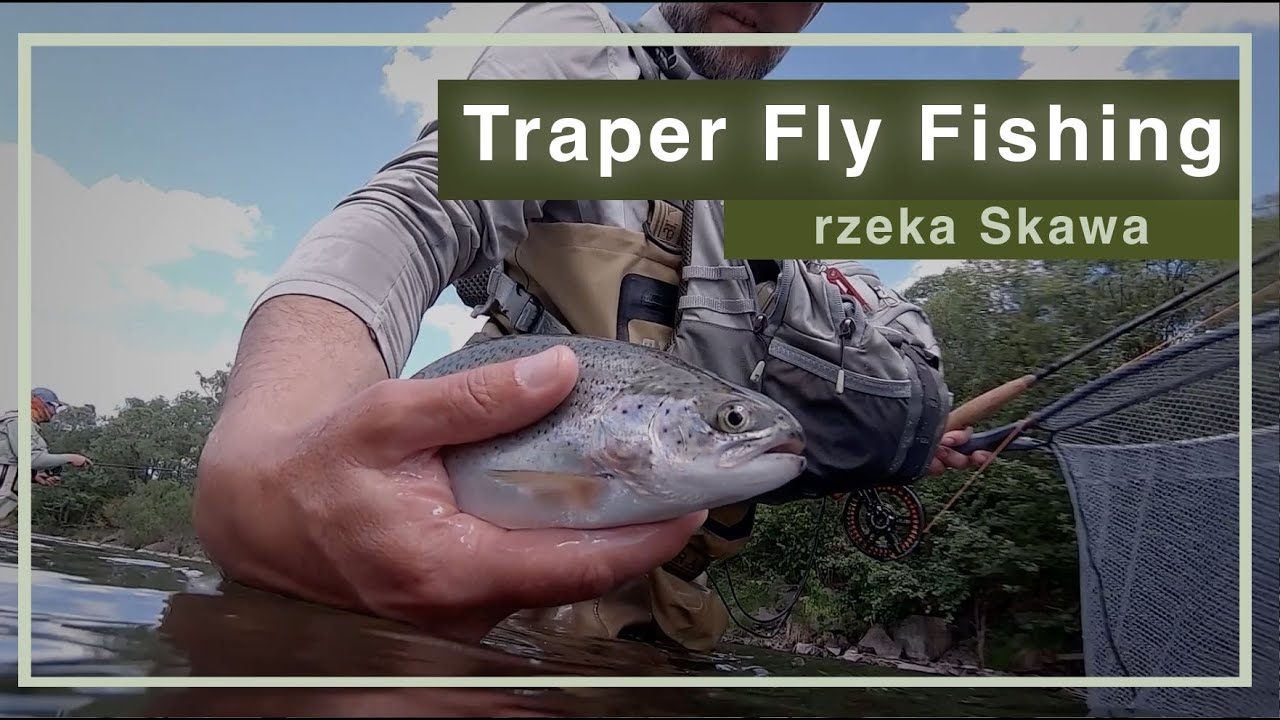 Wędkarstwo Muchowe Trapera - rzeka Skawa. Traper Fly Fishing Poland. Olbrzymie pstrągi ze Skawy.