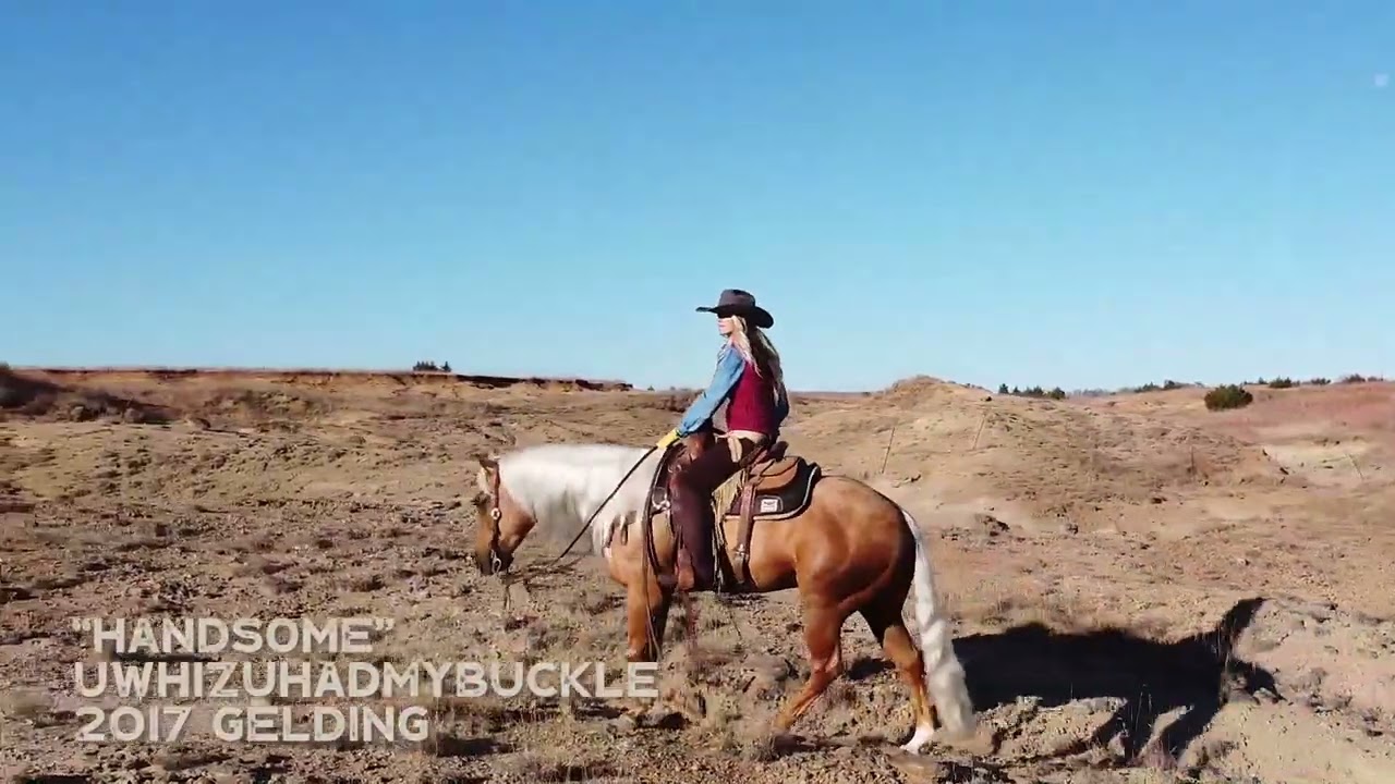 UWHIZUHADMYBUCKLE - Handsome