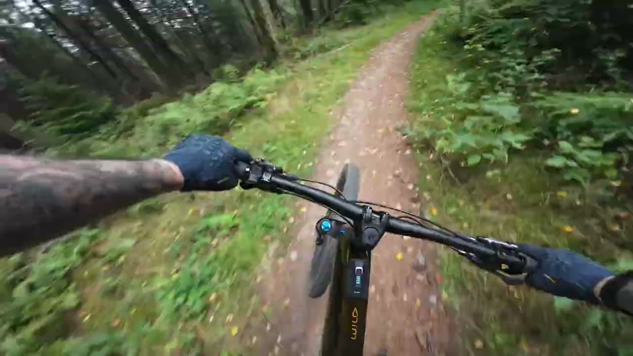 Orbea Wild M10 e-MTB at Dalby Forest – Blue Trail Flow Ride!