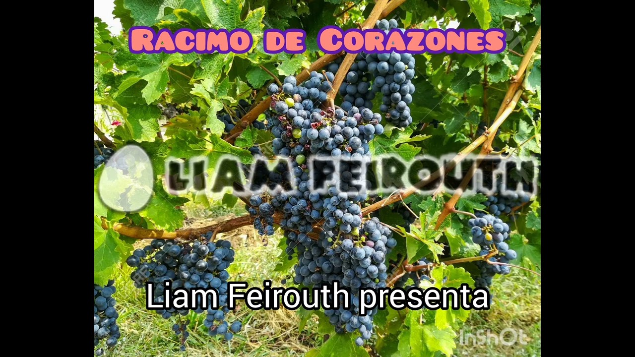 Racimo de Corazones - Liam feirouth Music