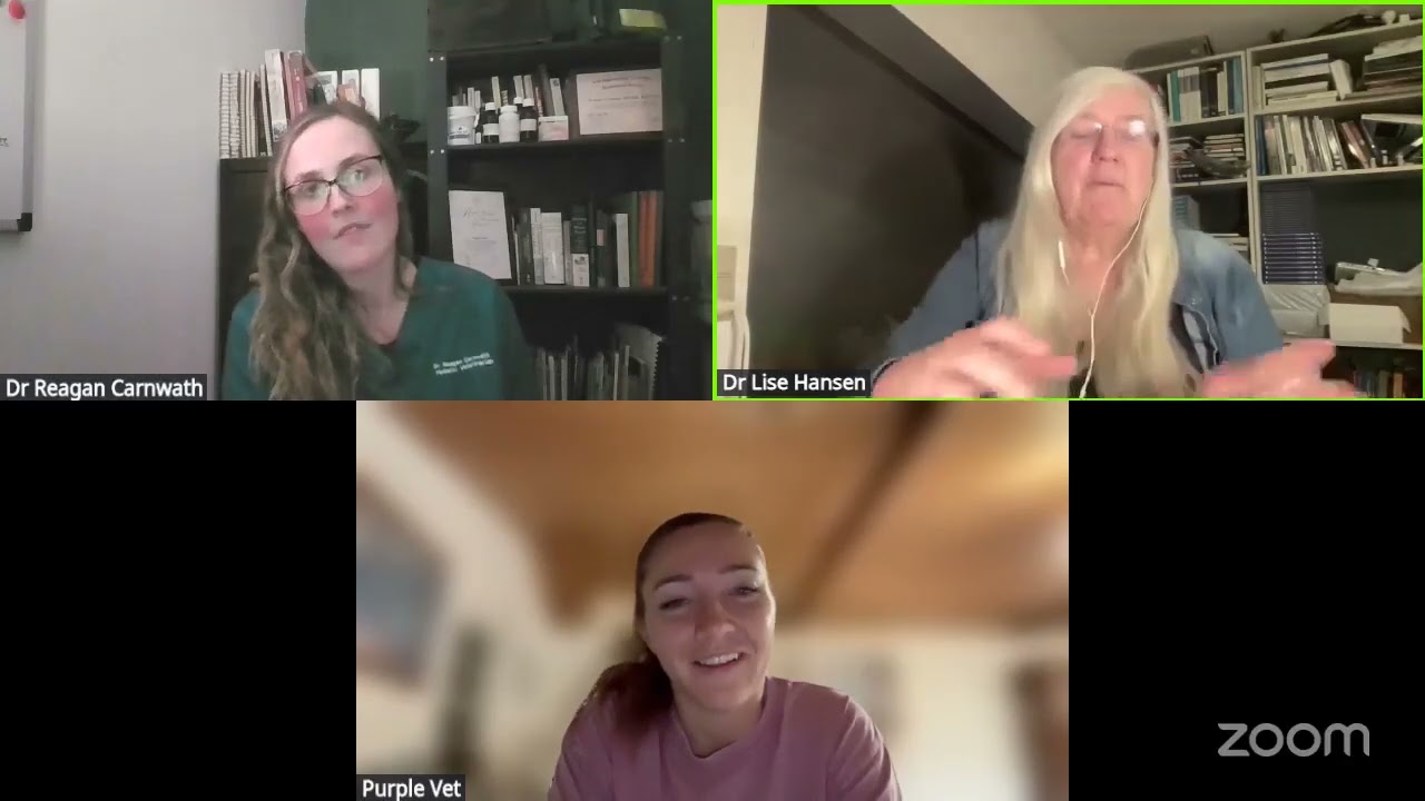 Holistic Vet Sisters Ep.49 - Holistic Veterinary Choices for Cancers in Pets.
