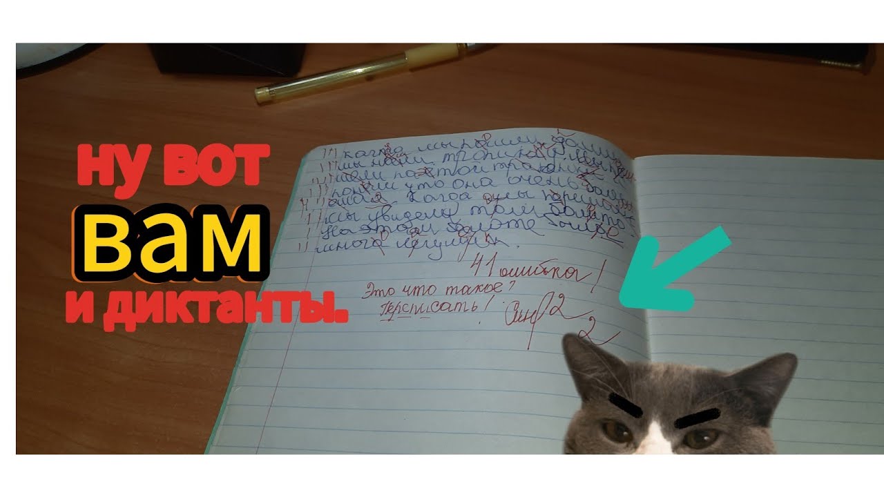 Проверка диктантов по русскому языку 3 класс😬