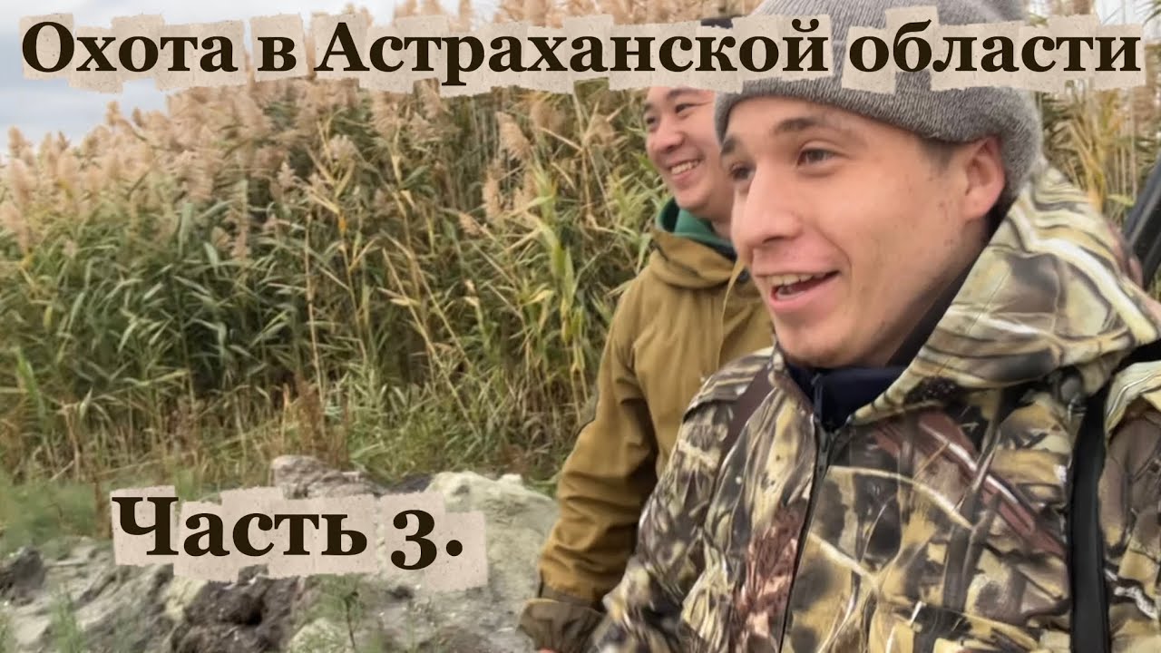 Охота в Астраханской области. Сезон 2025-2026. Часть 3.
