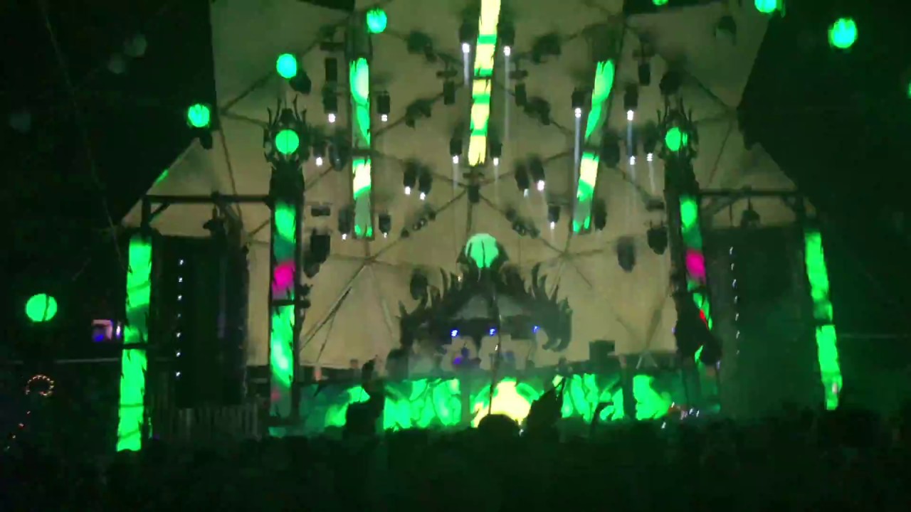 Dirt Monkey- Shambhala 2018 4K