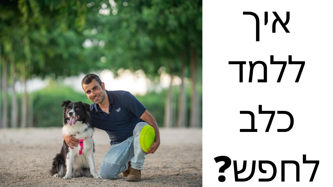 איך ללמד כלב לחפש חפצים ? | אילוף כלבים | איך ללמד גור לחפש ?| מאלף כלבים - טל שלוש ואורלי נחמיאס