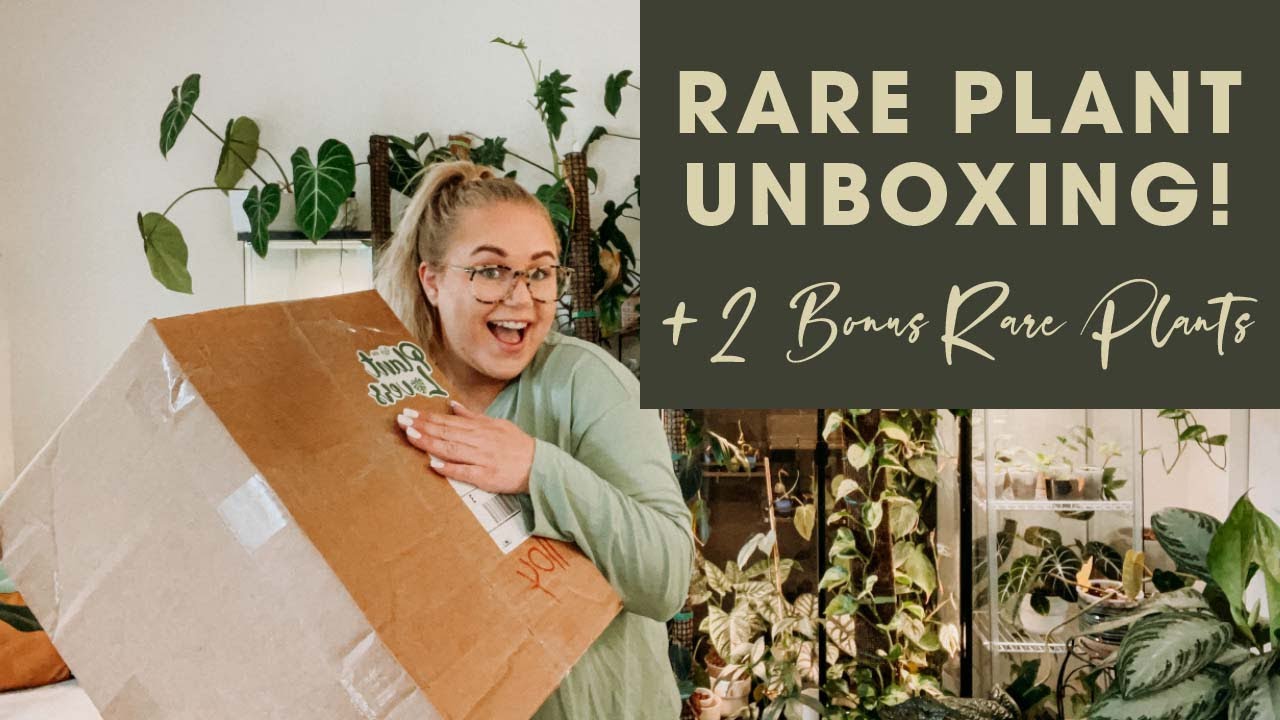 Rare Trailing Monkey Tail Cactus Houseplant Unboxing | 2 Bonus Rare Plants! | Plant Haul