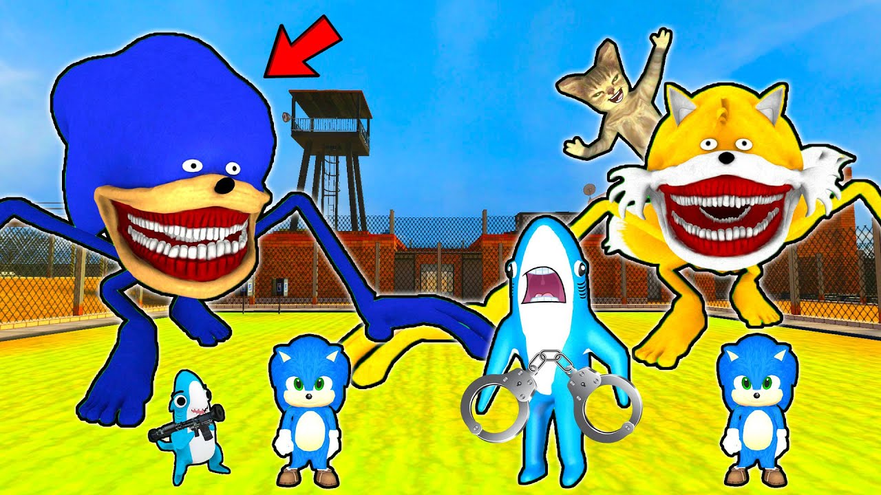 SHIN SONIC A AJUNS LA INCHISOARE! DRACULASS ESTE DISTRUS DE SHIN TAILS VS BEBE SONIC! BATALIA EPICA!