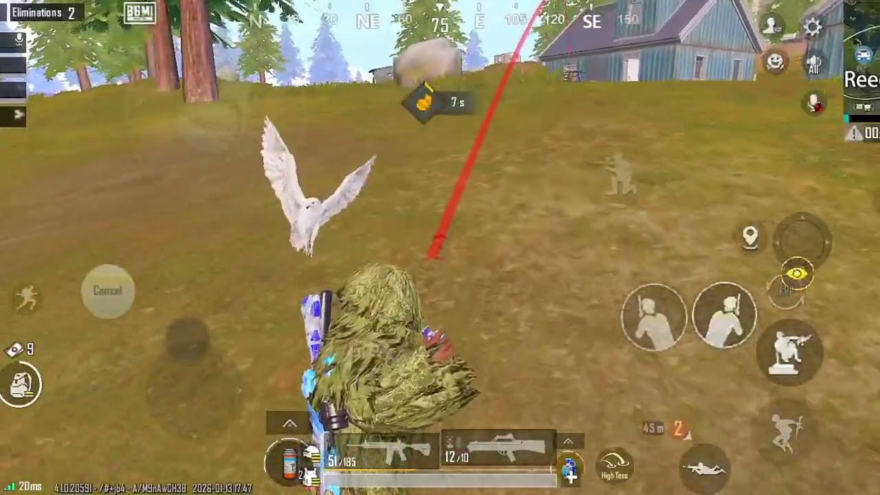 My noob teammate's 