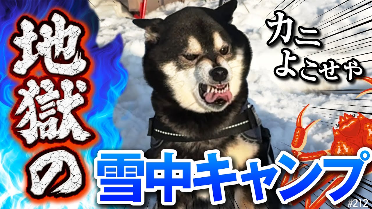 柴犬と雪中キャンプしたら地獄だった