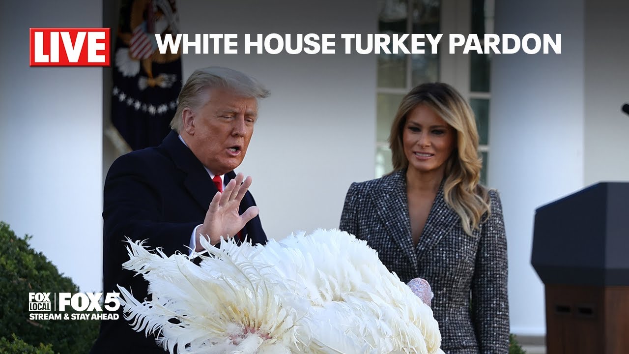 RAW FEED: White House Thanksgiving Turkey Pardon