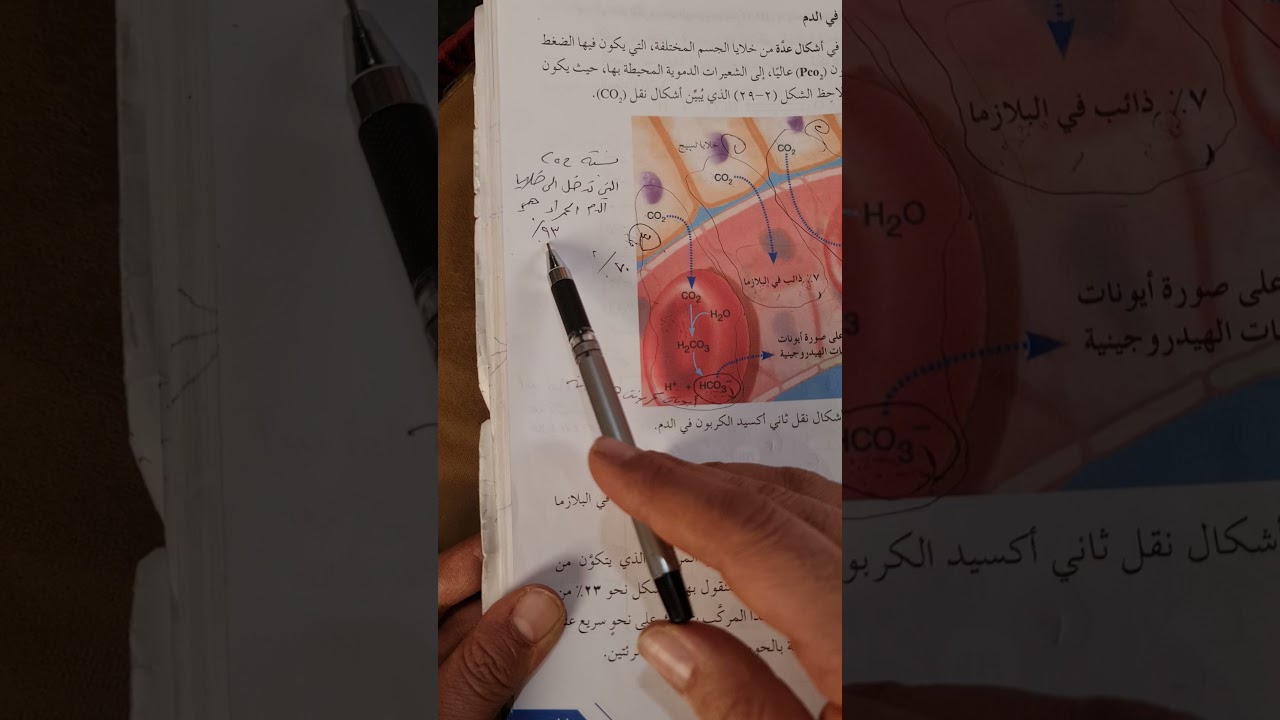 طرق نقل ثاني أكسيد الكربون في الدم
