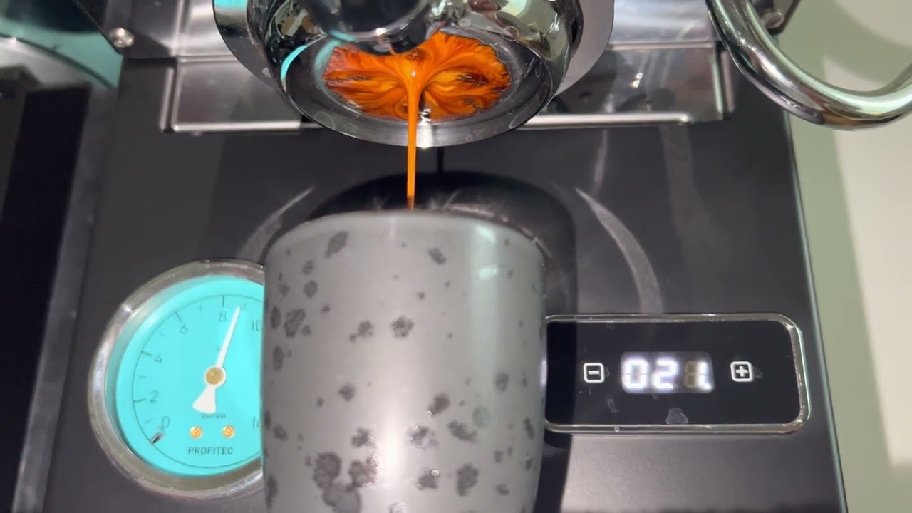 Bottomless espresso - Profitec Go