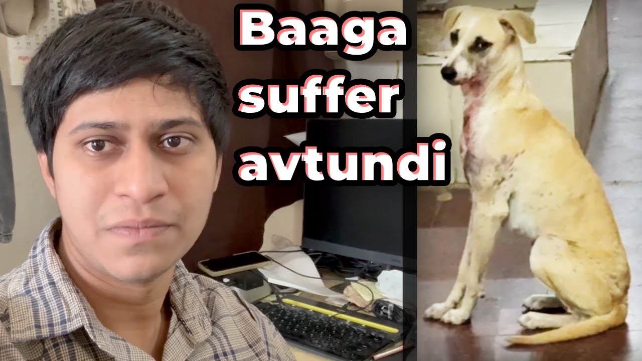 Naku Cold Vachindhi 😷 || Paapam Kukkalu