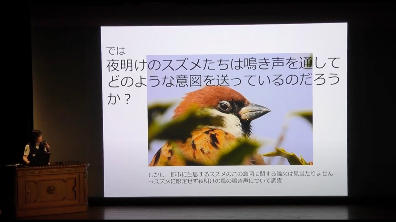 卒業研究「夜明けにスズメが盛んに鳴くのはなぜか―鳴き声の連続回数に着目して―」神戸大学附属中等教育学校卒業研究優秀者発表会(2024/7/18)