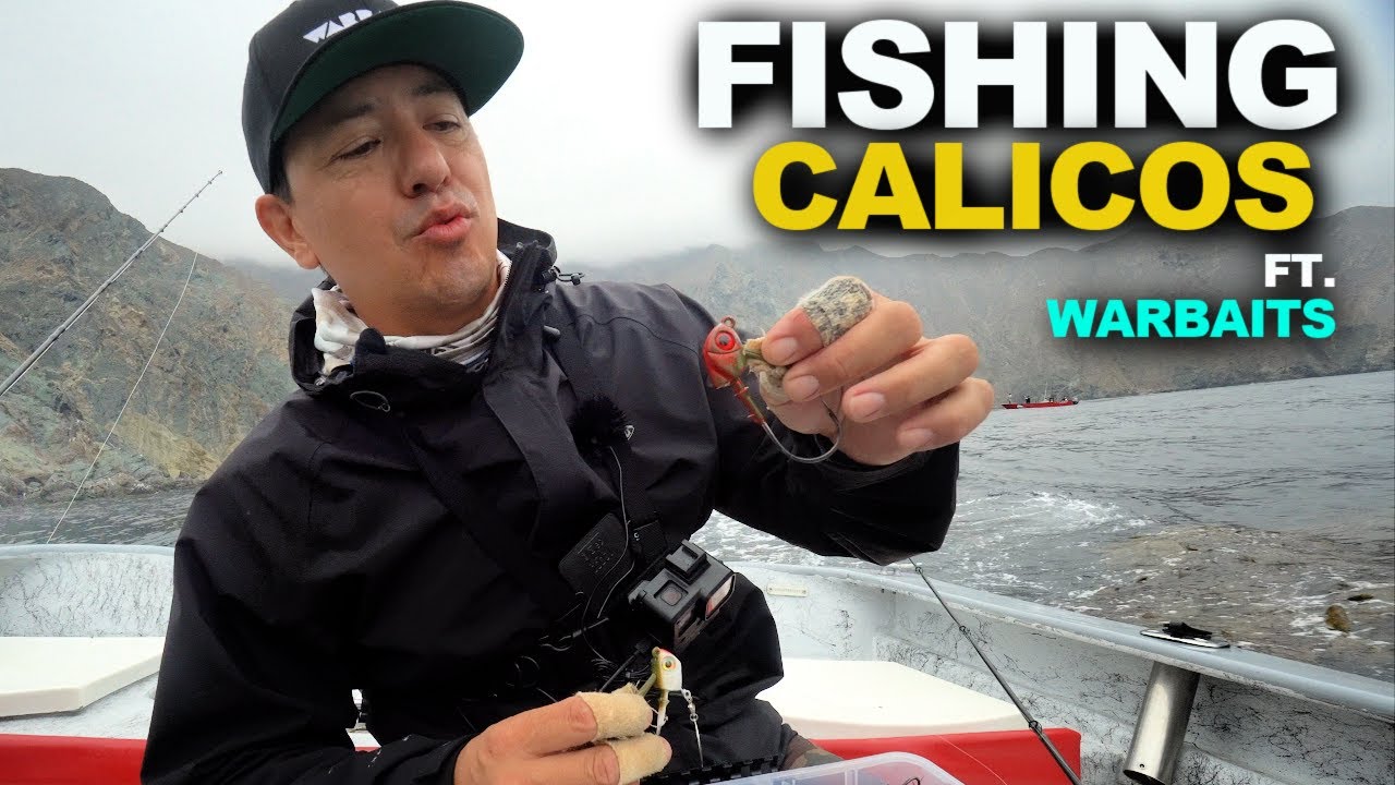 Fishing for Calico Bass (INSANE BITE) | Rodney And Warbaits