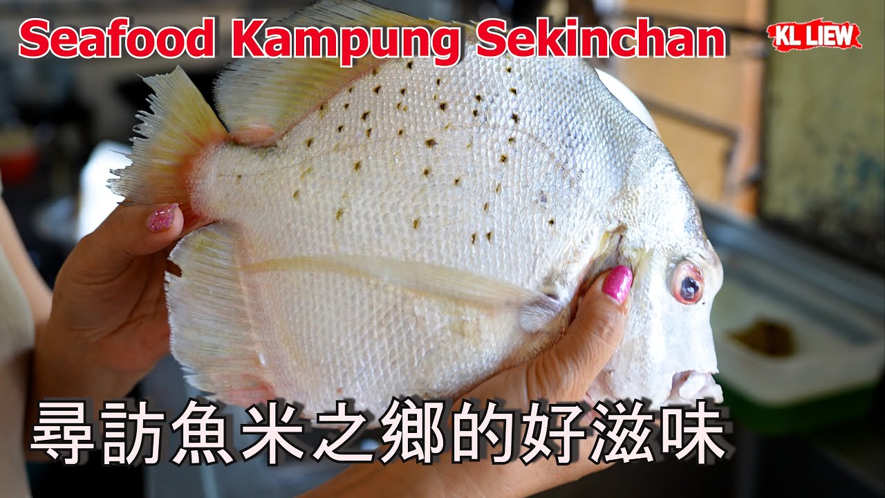 Seafood Kampung Sekinchan 带远方的朋友去适耕庄小漁村吃多种不常见的鱼类,尋訪魚米之鄉的好滋味,