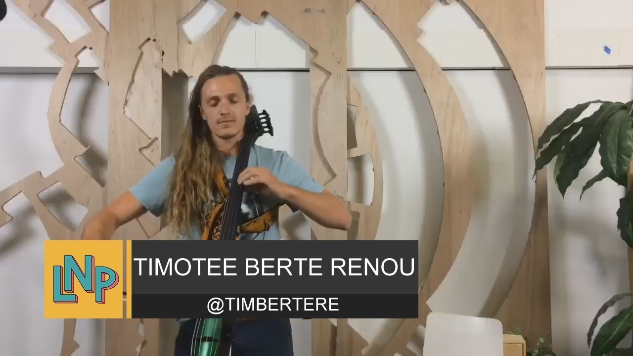 Timothee Berte Renou, LINDSEY STIRLING   Crystallize Cello (cover)