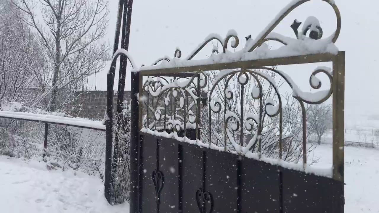 A very suspicious dog was keeping an eye on me during a snowstorm in Armenia.