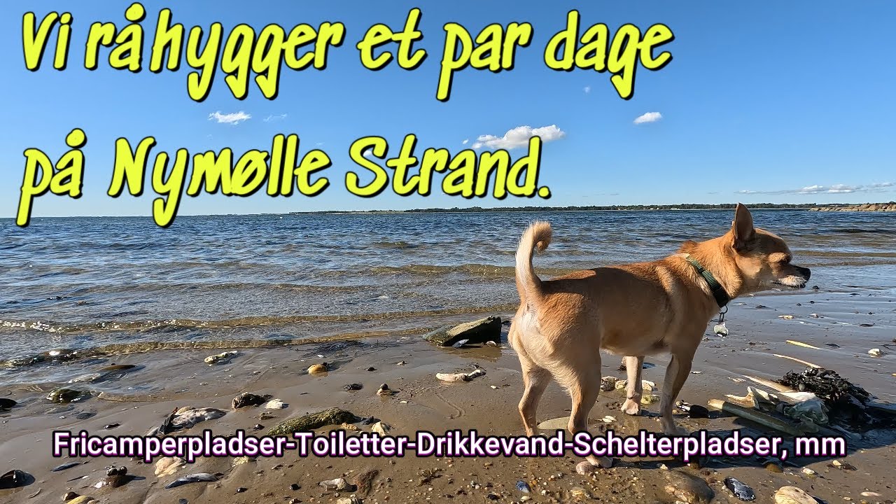 Vi råhygger et par dage på Nymølle Strand.