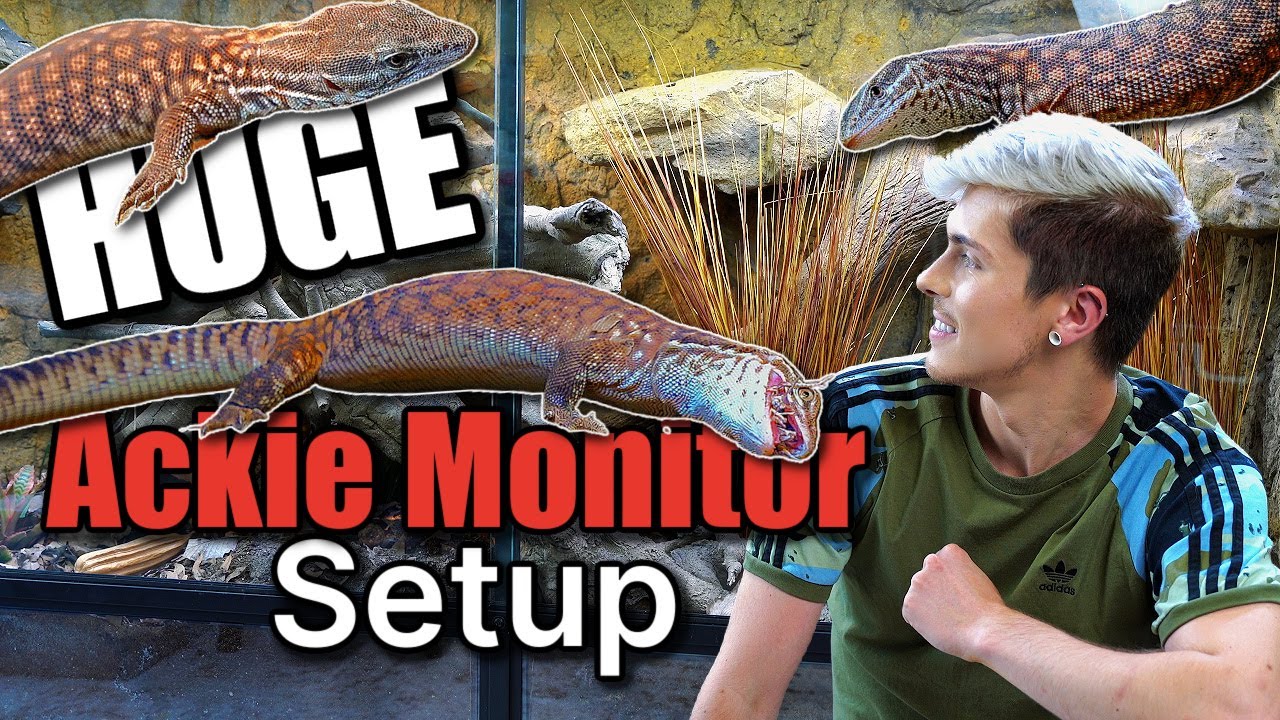 HUGE BIOACTIVE ACKIE MONITOR SETUP